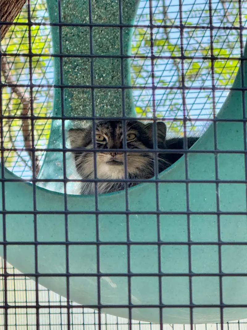 ニアビ動物園のイーヴィーの写真