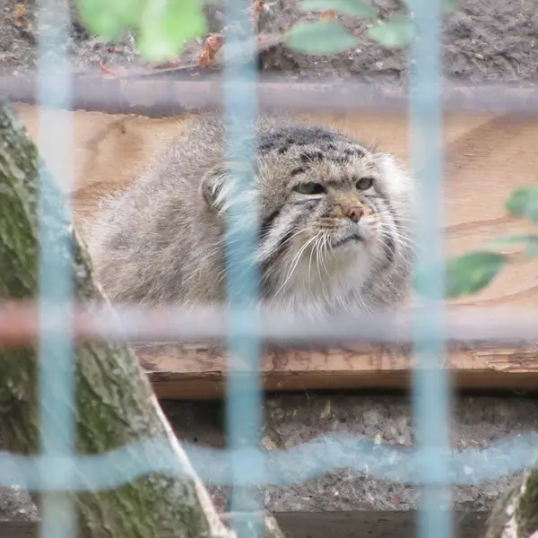 マクデブルク動物園のジョナサンの写真