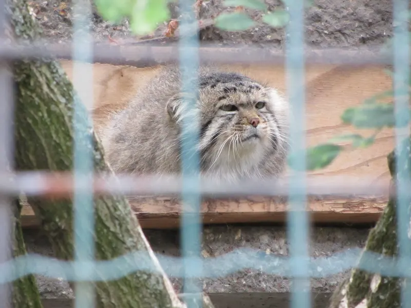 マクデブルク動物園のジョナサンの写真