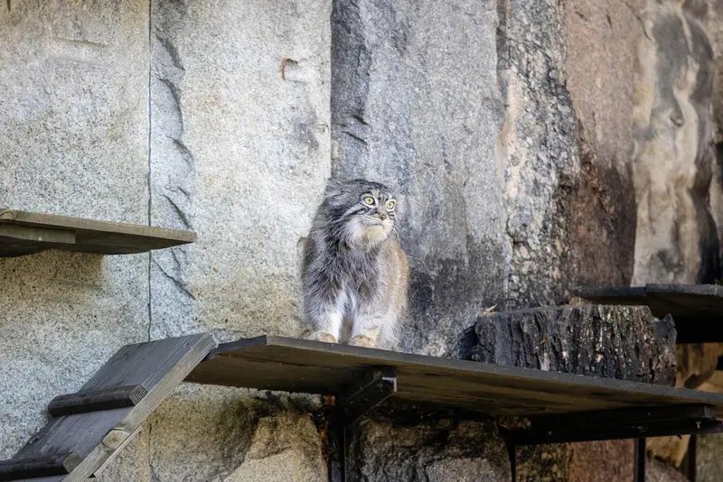 モスクワ動物園のティモフェイの写真