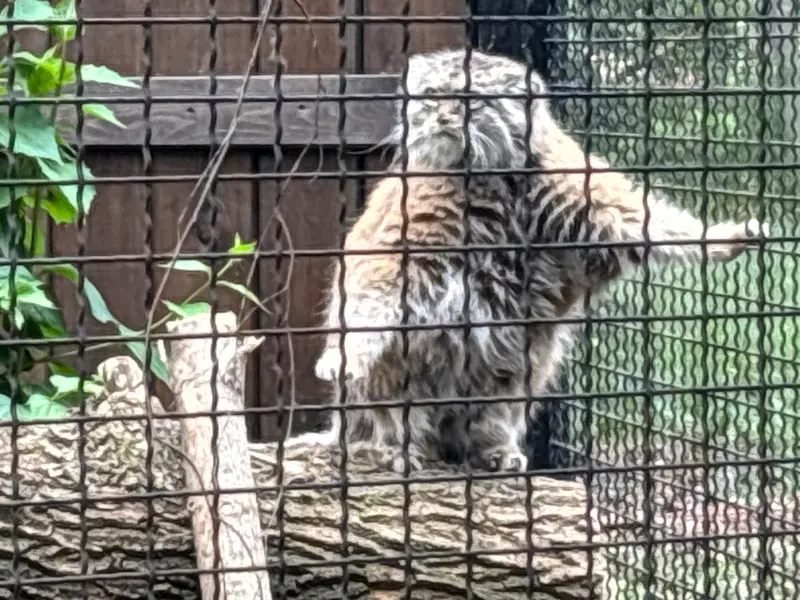 ワルシャワ動物園のジェシーの写真