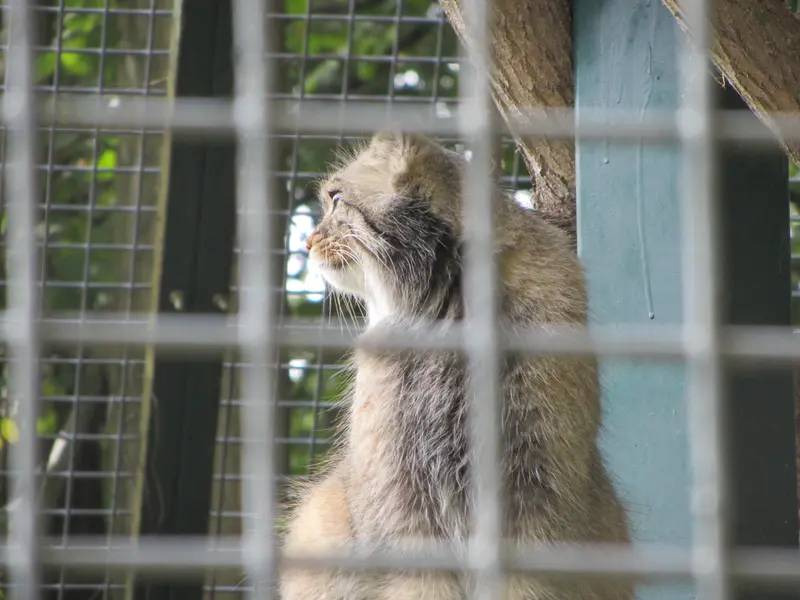 ザールブリュッケン動物園のカール・ハインツの写真