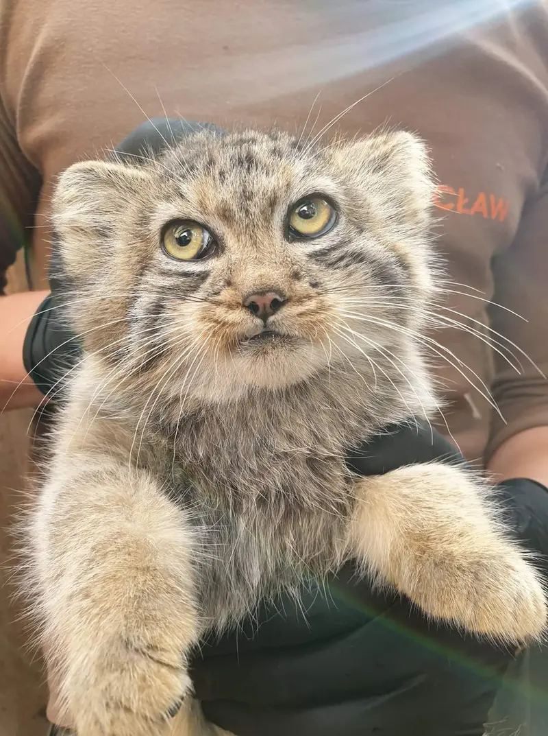 ヴロツワフ動物園のハルの写真