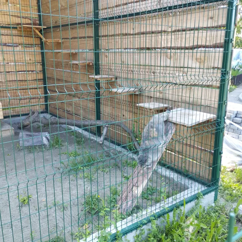 バルナウル動物園「レースナヤ・スカースカ」のチップの写真