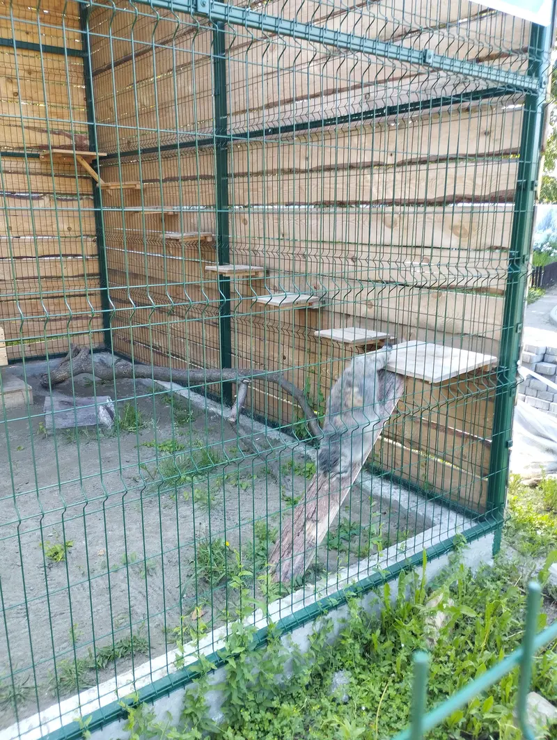 バルナウル動物園「レースナヤ・スカースカ」のチップの写真