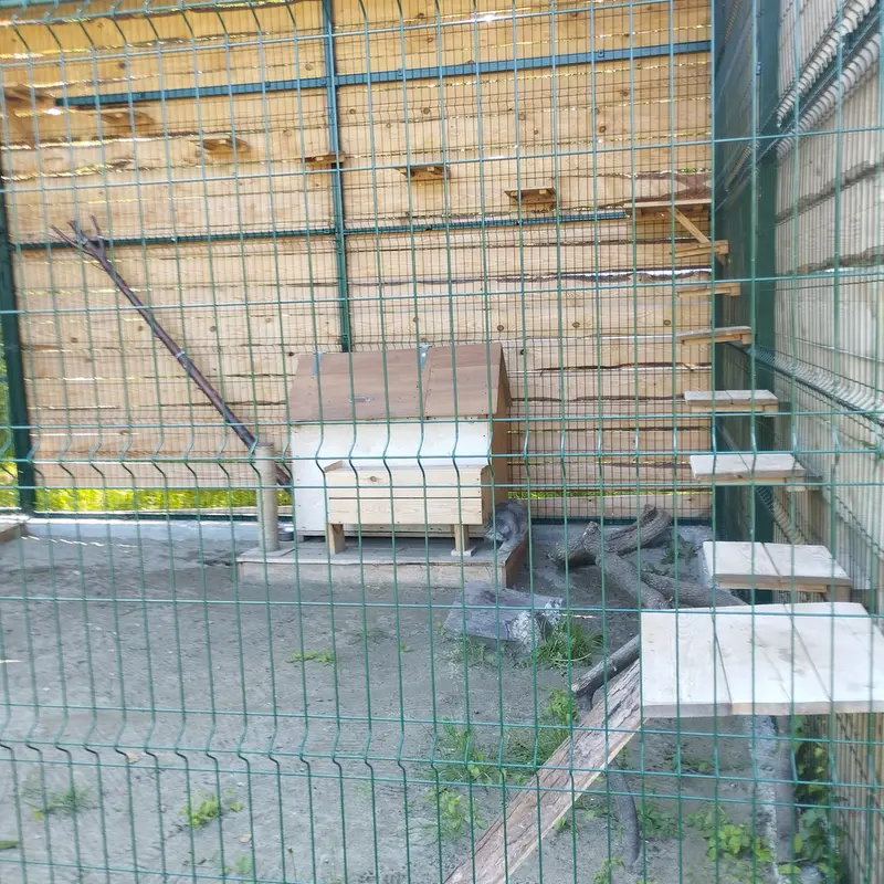 バルナウル動物園「レースナヤ・スカースカ」のチップの写真