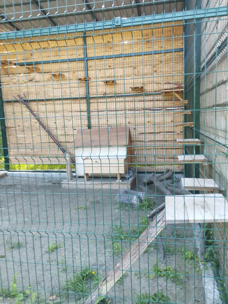 バルナウル動物園「レースナヤ・スカースカ」のチップの写真