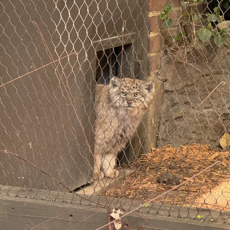 プロスペクト・パーク動物園のバトゥの写真