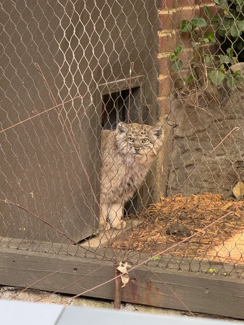 プロスペクト・パーク動物園のバトゥの写真
