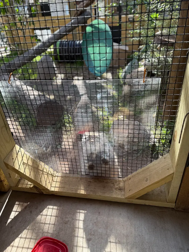 エルムウッド・パーク動物園のレザの写真