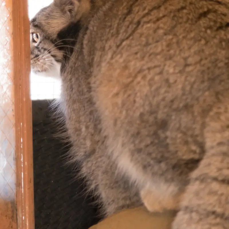 埼玉県こども動物自然公園のオトの写真