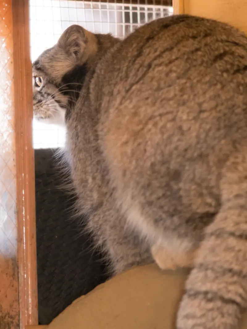 埼玉県こども動物自然公園のオトの写真