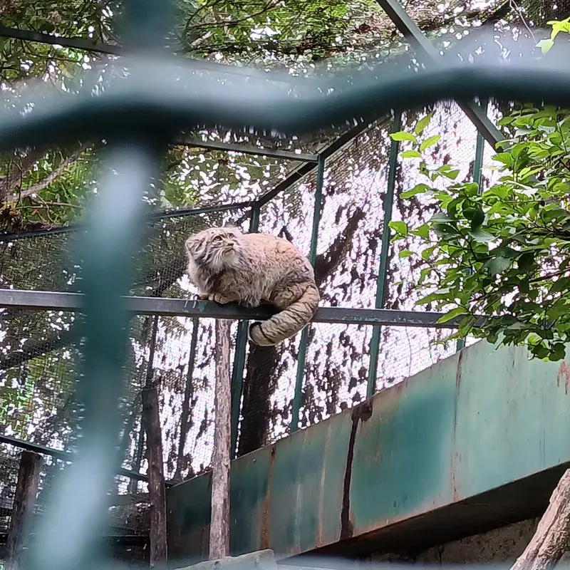 ブダペスト動物園＆植物園のボフスの写真
