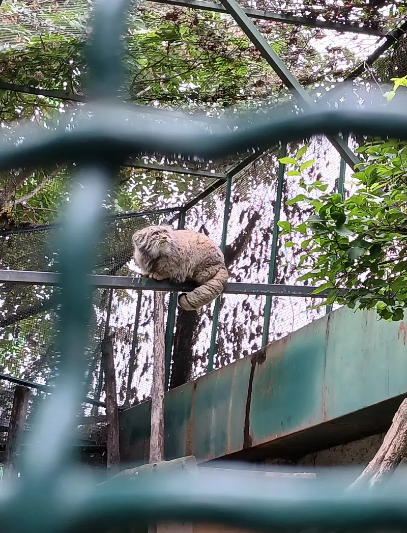 ブダペスト動物園・植物園のボフスの写真