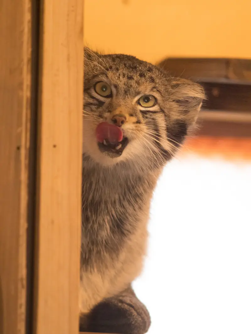 埼玉県こども動物自然公園のオトの写真