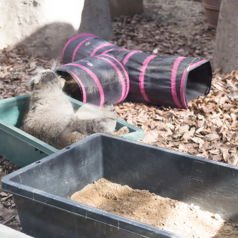 埼玉県こども動物自然公園のオトの写真