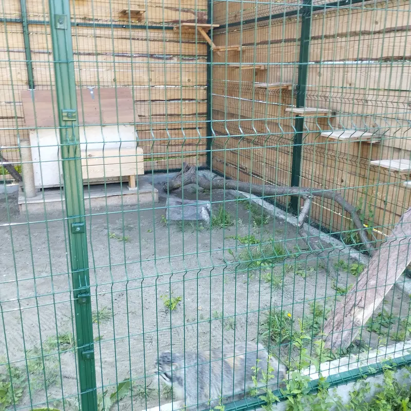 バルナウル動物園「レースナヤ・スカースカ」のチップの写真