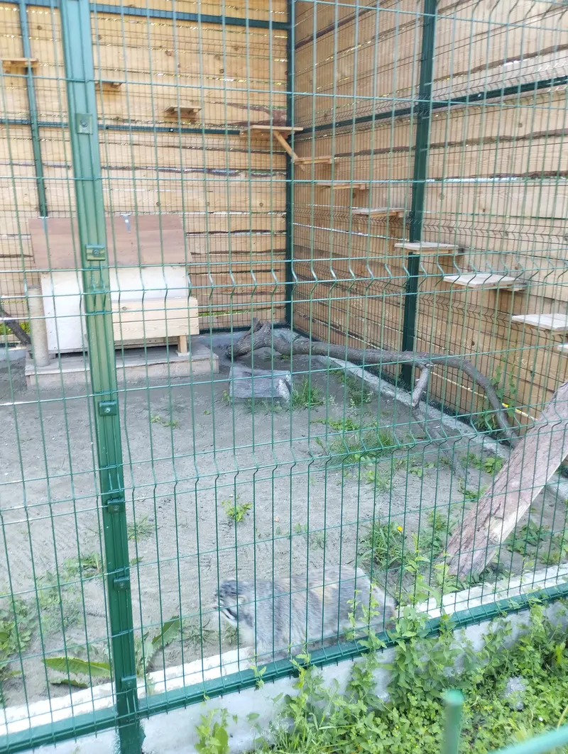 バルナウル動物園「レースナヤ・スカースカ」のチップの写真