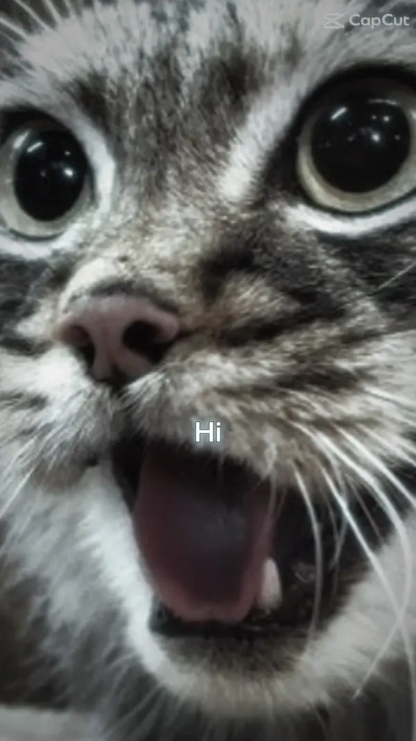 私がやったこと…2