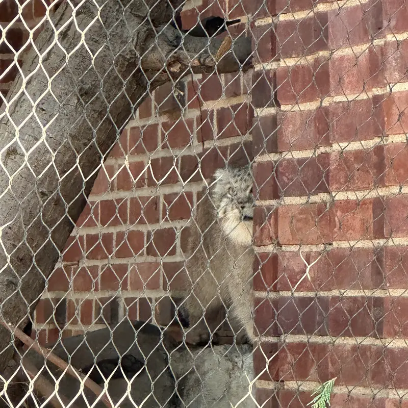 プロスペクト・パーク動物園のバトゥの写真