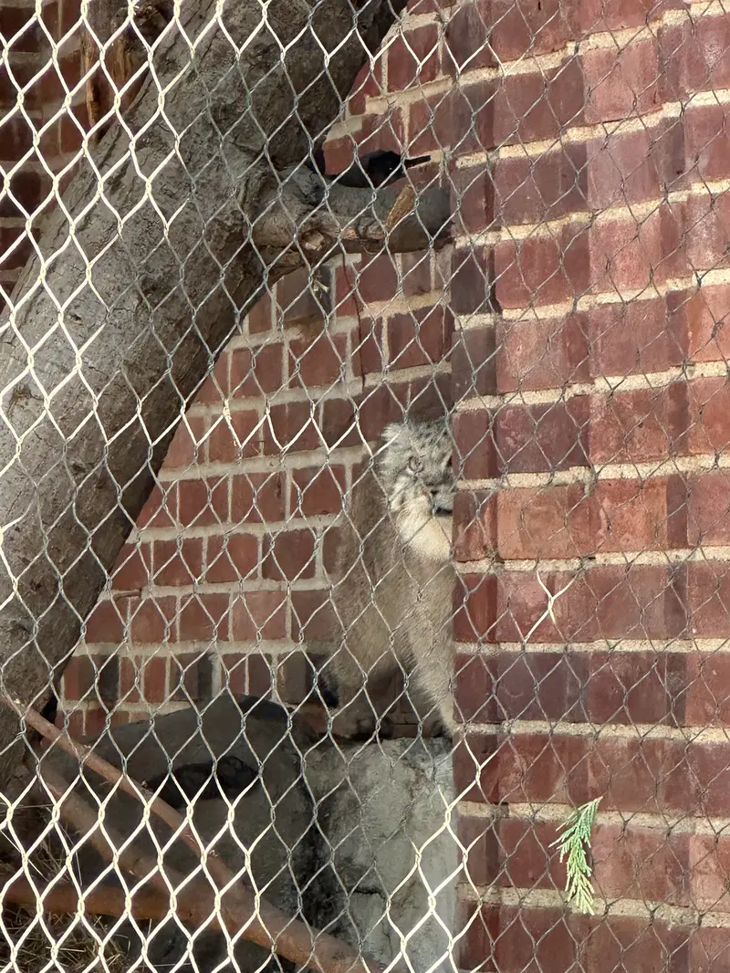プロスペクト・パーク動物園のバトゥの写真