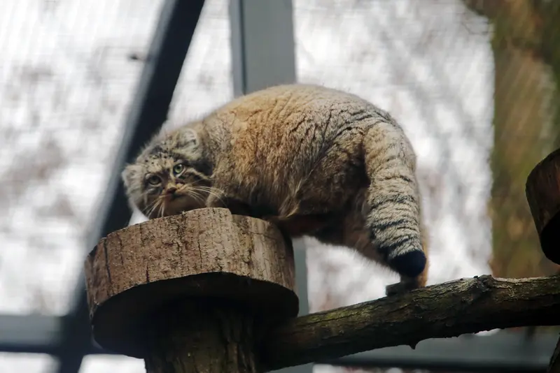 グダニスク動物園のウラの写真