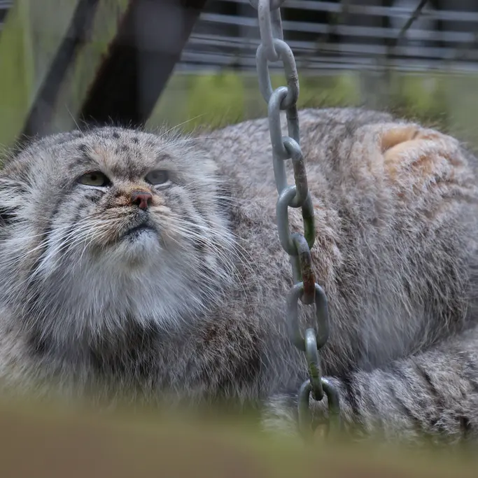 バナム動物園のバックの写真