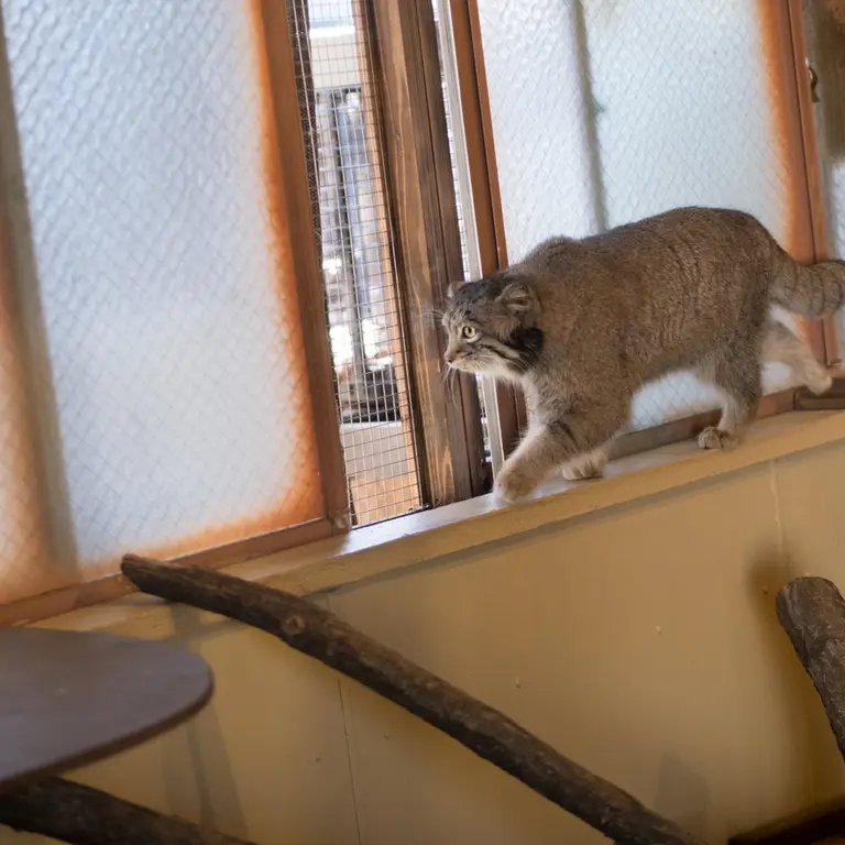 埼玉県こども動物自然公園のオトの写真