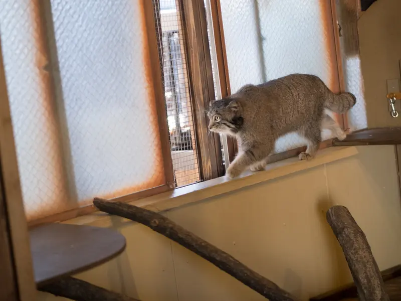 埼玉県こども動物自然公園のオトの写真