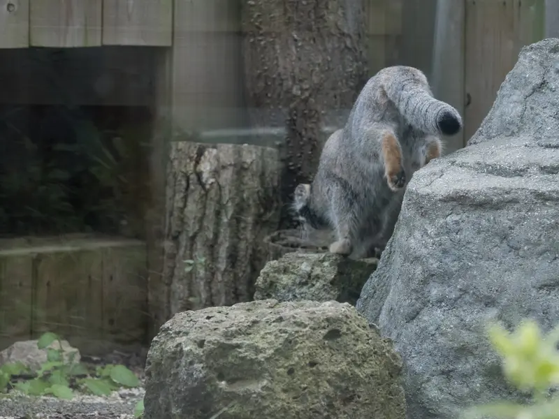 埼玉県こども動物自然公園のオトの写真