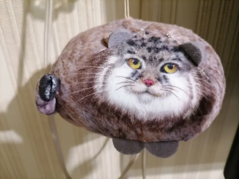 マヌルネコの写真