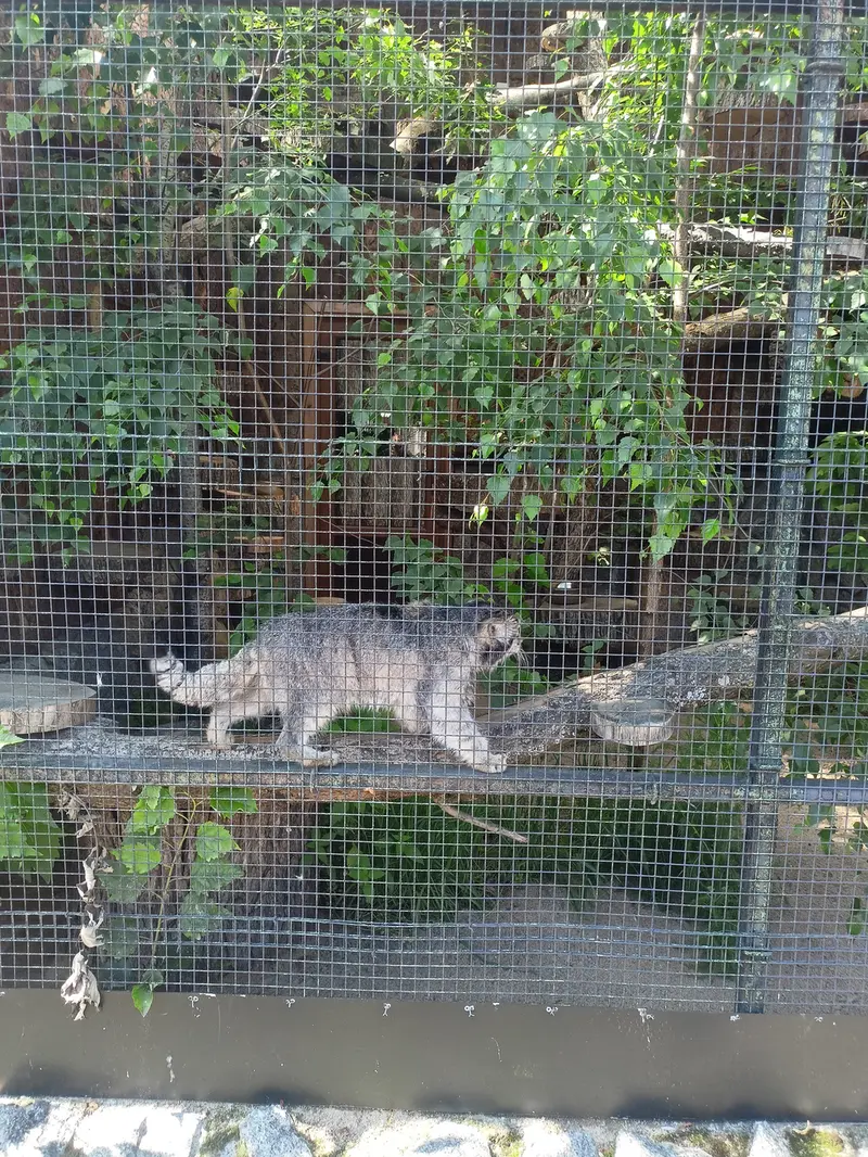 レニングラード動物園のスヴェンの写真