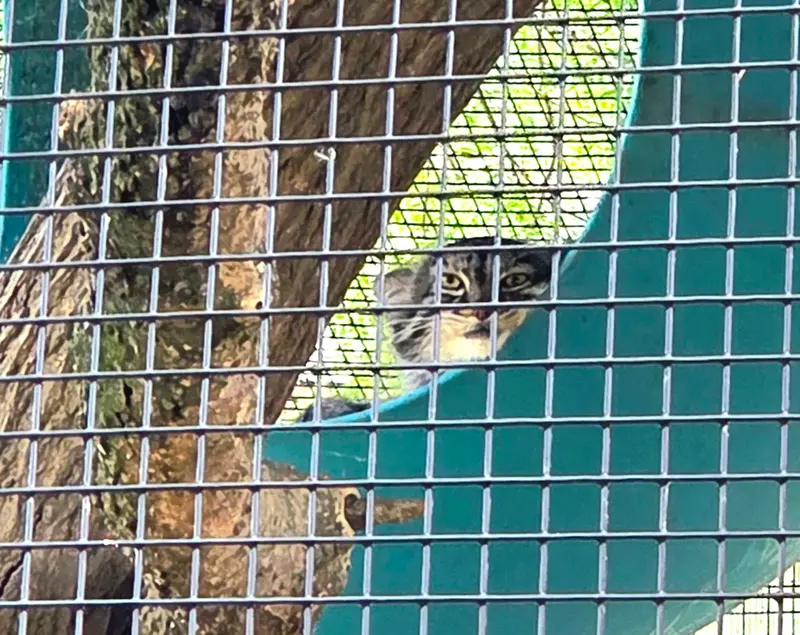 ニアビ動物園のイーヴィーの写真