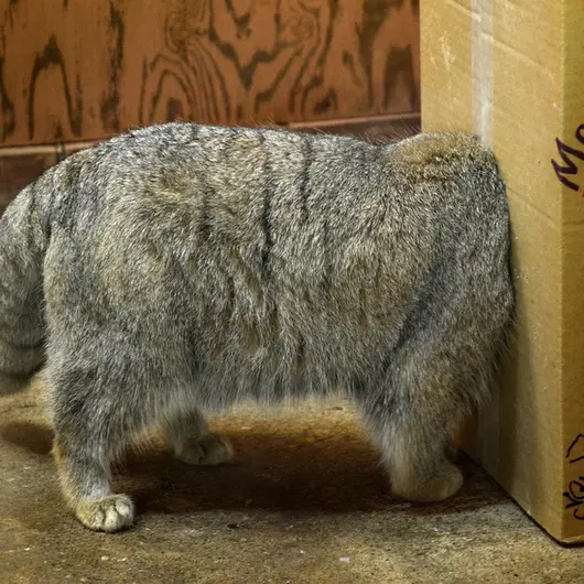 埼玉県こども動物自然公園のレフの写真