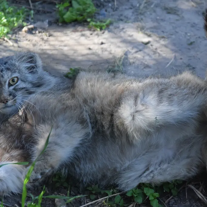 ブダペスト動物園＆植物園のルーシーの写真