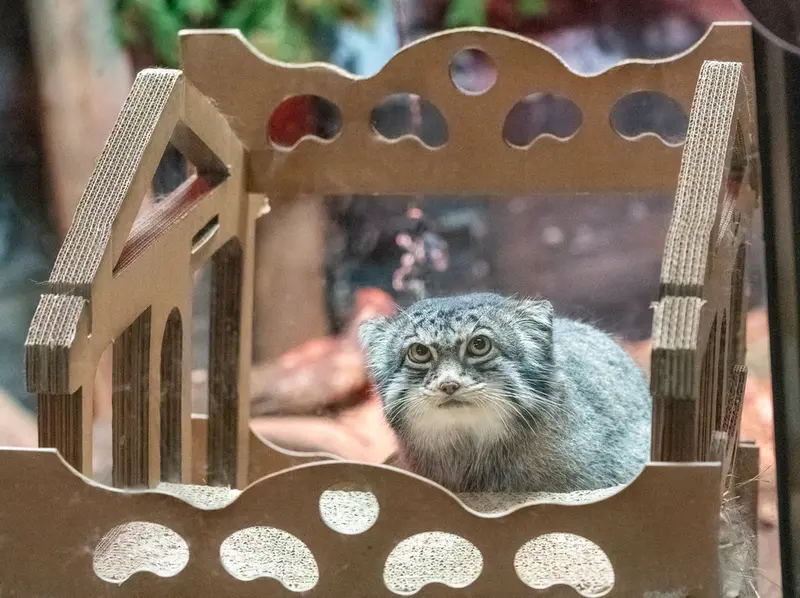 スペリオル湖動物園のパブの写真