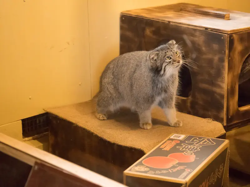 埼玉県こども動物自然公園のオトの写真
