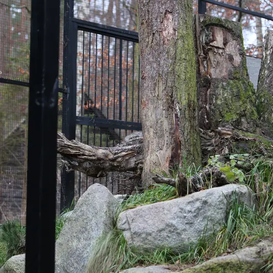 グダニスク動物園のウラの写真