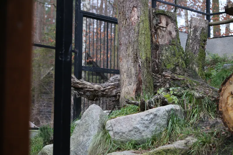 グダニスク動物園のウラの写真