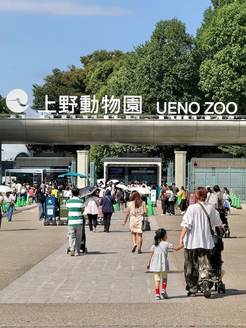 恩賜上野動物園のマヌルネコの写真