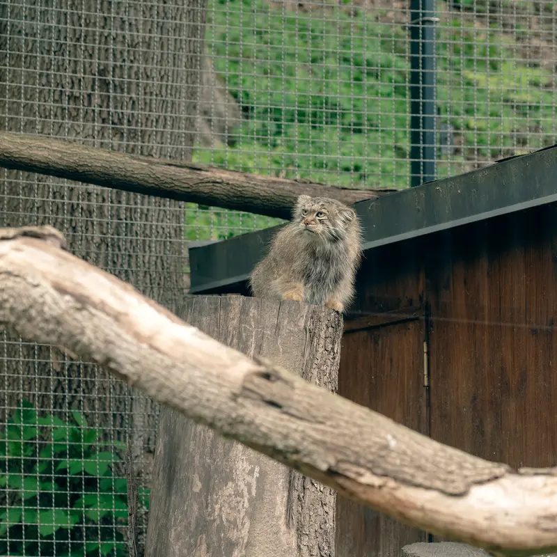 リトアニア動物園のメリッサの写真