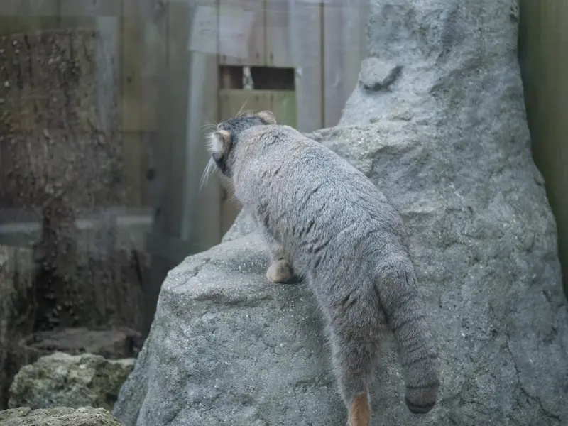 埼玉県こども動物自然公園のオトの写真