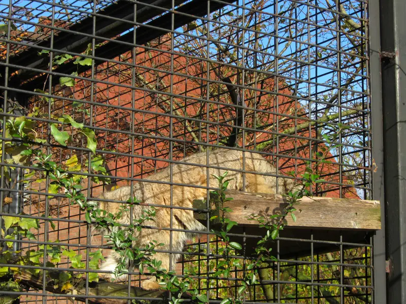 マクデブルク動物園のジョナサンの写真