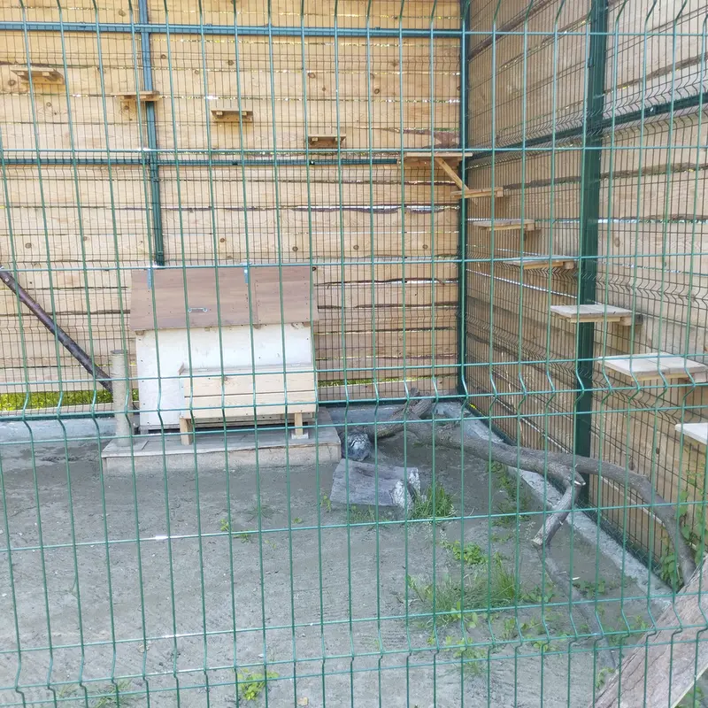 バルナウル動物園「レースナヤ・スカースカ」のチップの写真