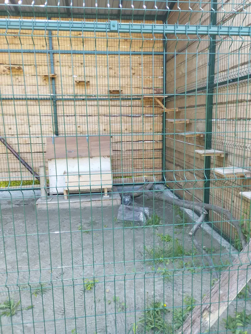 バルナウル動物園「レースナヤ・スカースカ」のチップの写真