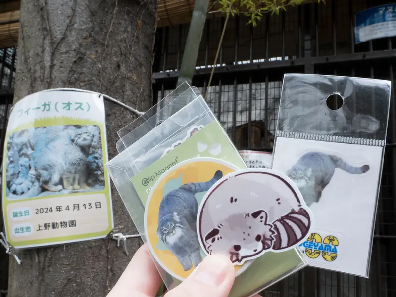 野毛山動物園のフィーガの写真
