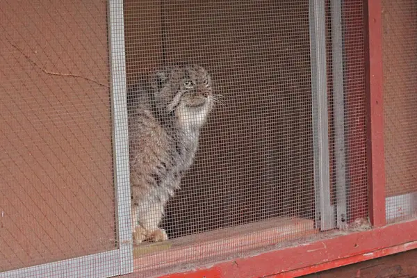 埼玉県こども動物自然公園のセバスチャンの写真