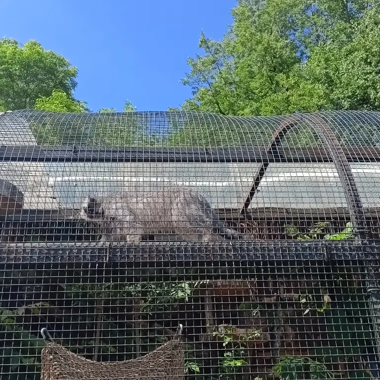 レニングラード動物園のシューの写真