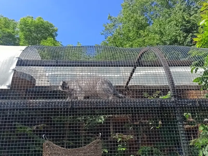 レニングラード動物園のシューの写真