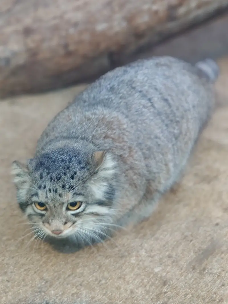オトの写真